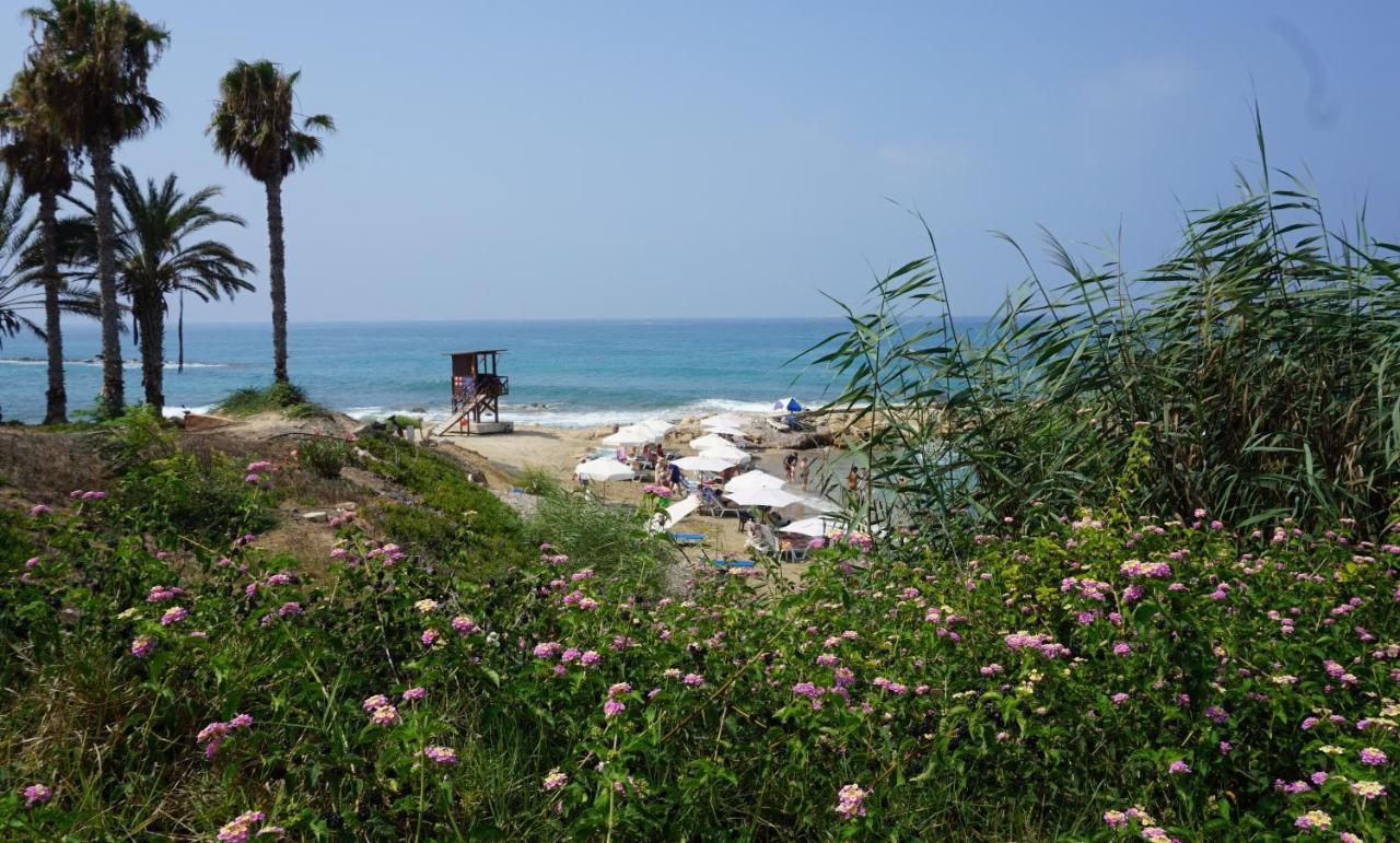 Paphos Gardens, Near Beach Extérieur photo